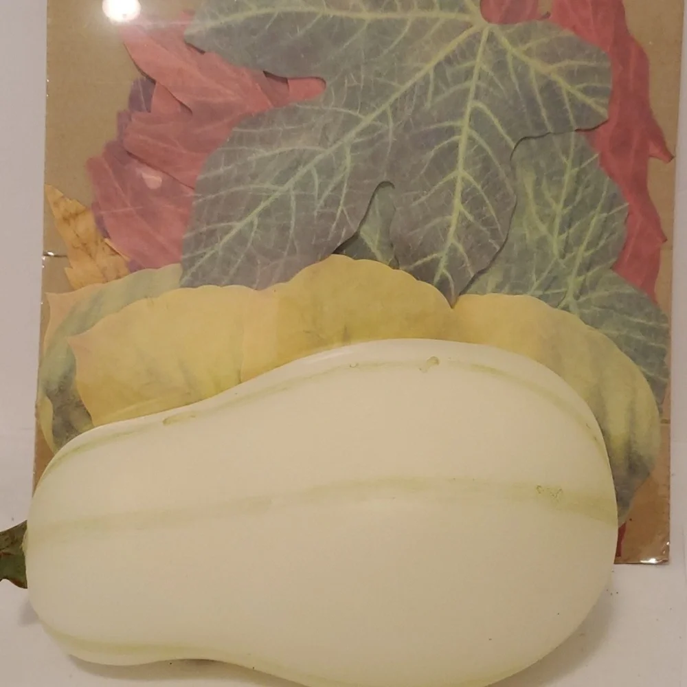 *Pottery Barn 2 Wick White 8